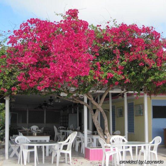 Anegada Reef Hotel The Settlement Restaurant billede