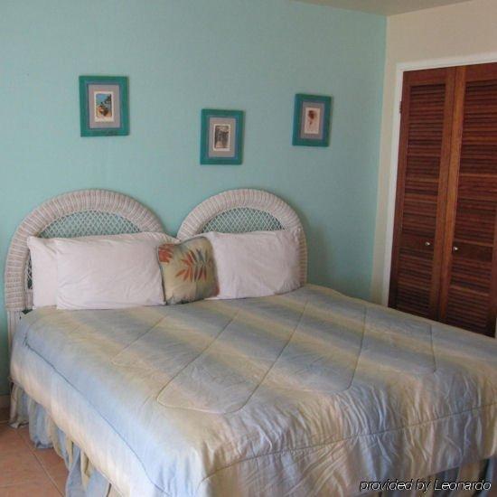 Anegada Reef Hotel The Settlement Værelse billede
